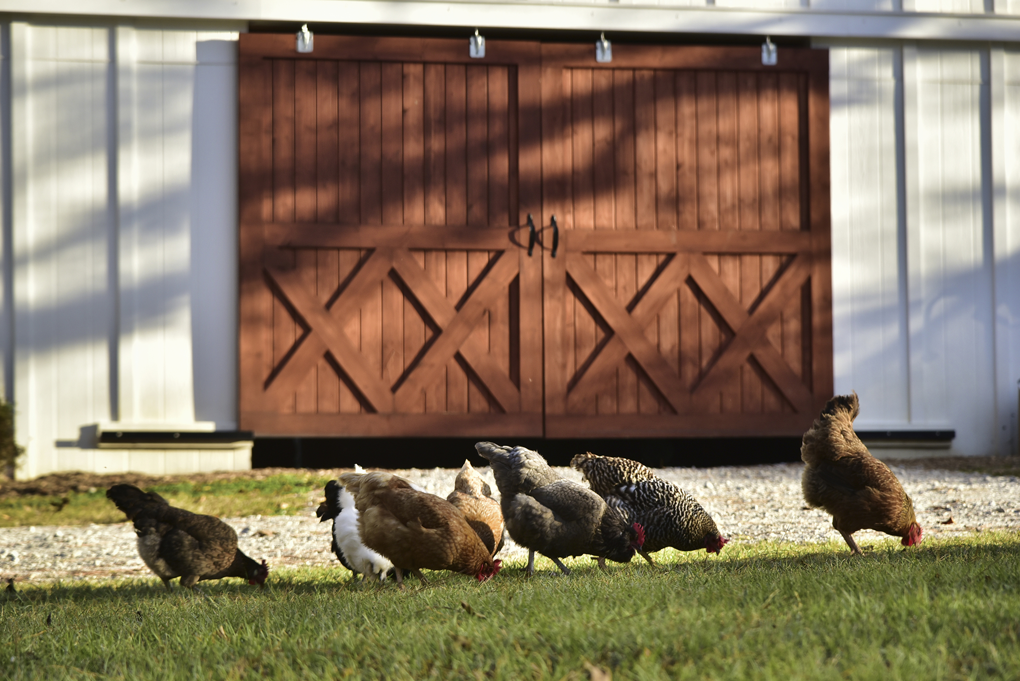 44 Farmhouse WEB 077
